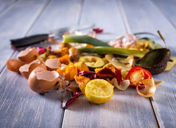 Valorisation des restes