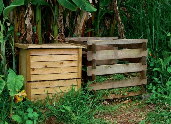 Compost