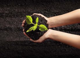 Les enjeux du compostage