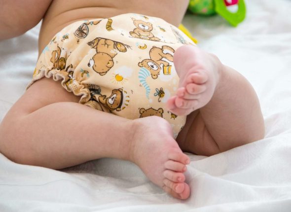 La Cabane des Chats Z’ailés