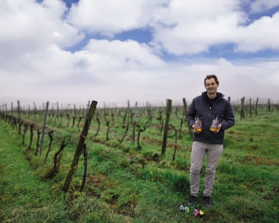 Le Domaine de Puygrelier