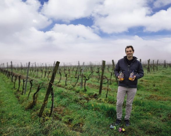 Le Domaine de Puygrelier