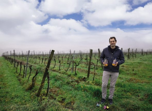 Le Domaine de Puygrelier